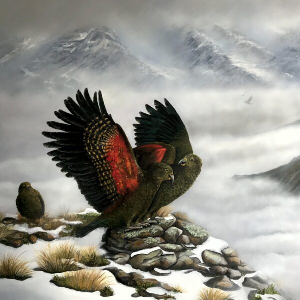 Mountain Monarchs - playful kea in the snowy mountain peaks - original artwork by Tania Jack