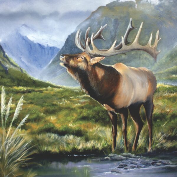 Wapiti - NZ Elk by NZ artist Tania Jack