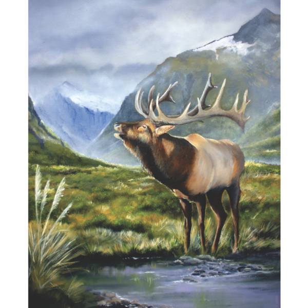 Wapiti - NZ Elk by NZ artist Tania Jack